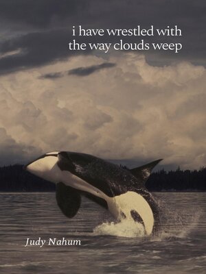 cover image of i have wrestled with the way clouds weep